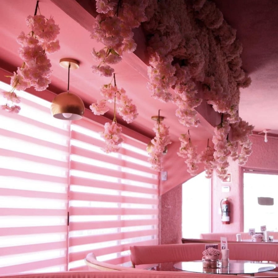 VICA Café & Flores Cabo San Lucas 9