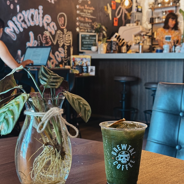 Brewtal Coffee Shop Rosarito 12