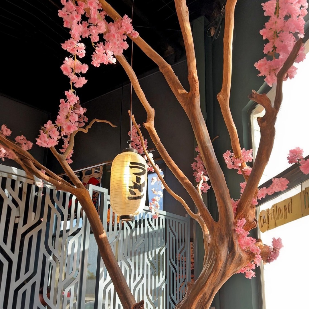 Hibik Cocina Fusión Asiática Mazatlán 10