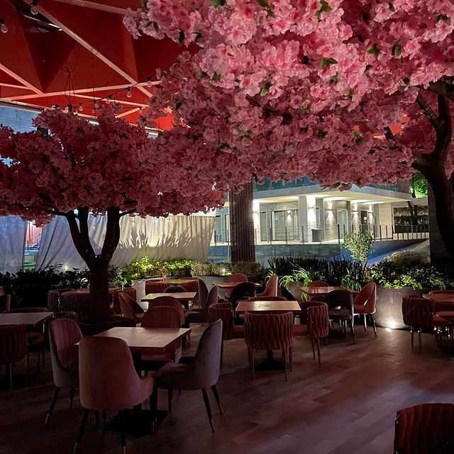 PINK Restaurante Coyoacán - foto 4
