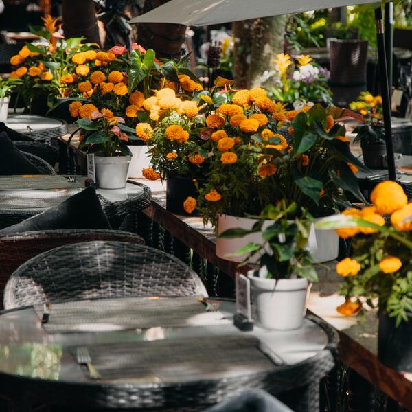 Hacienda Laborcilla - Querétaro 10