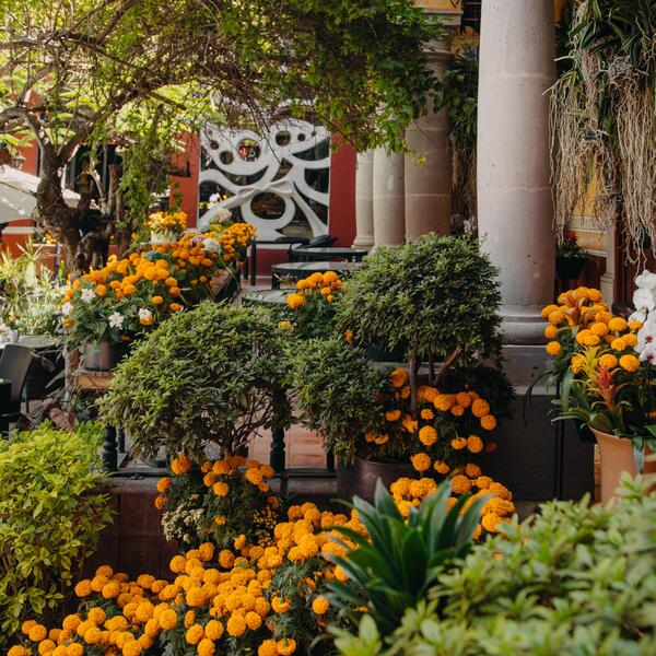 Hacienda Laborcilla - Querétaro 15