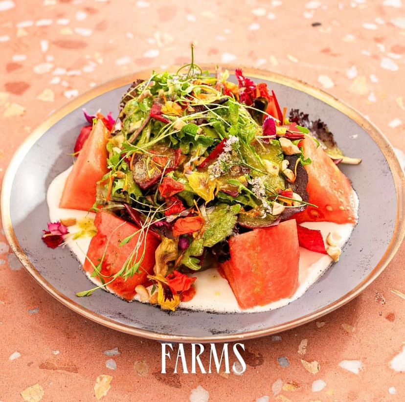 Restaurante Valle Farms Ensenada 6