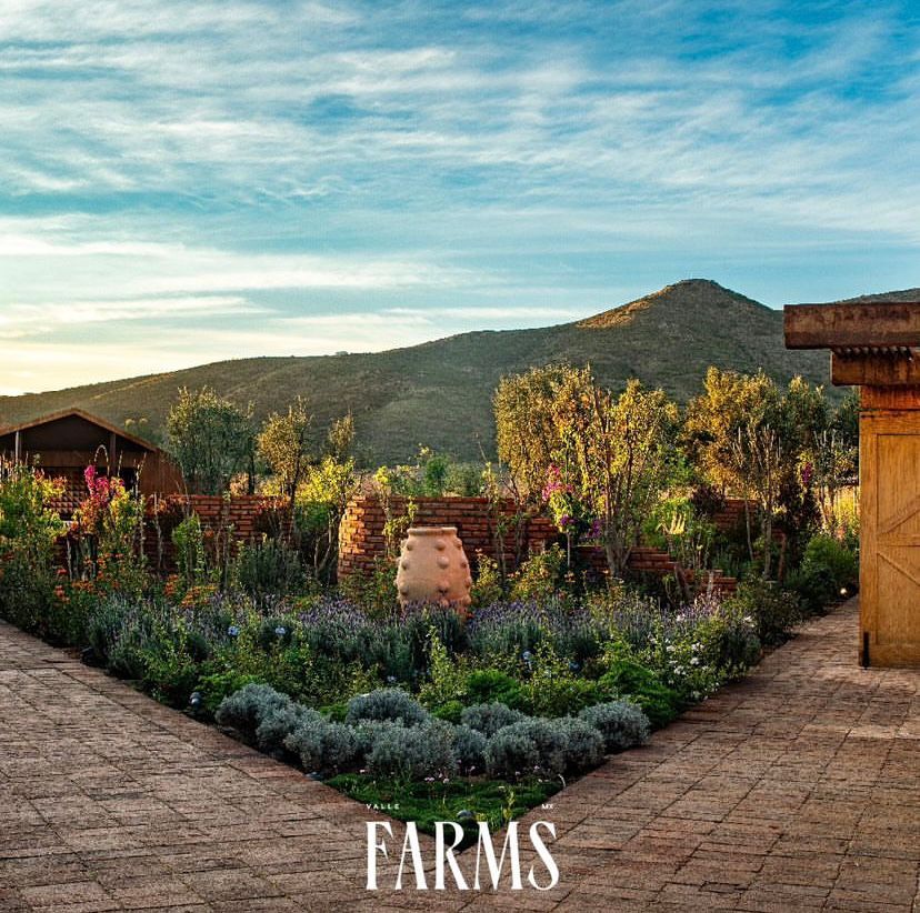 Restaurante Valle Farms Ensenada 5