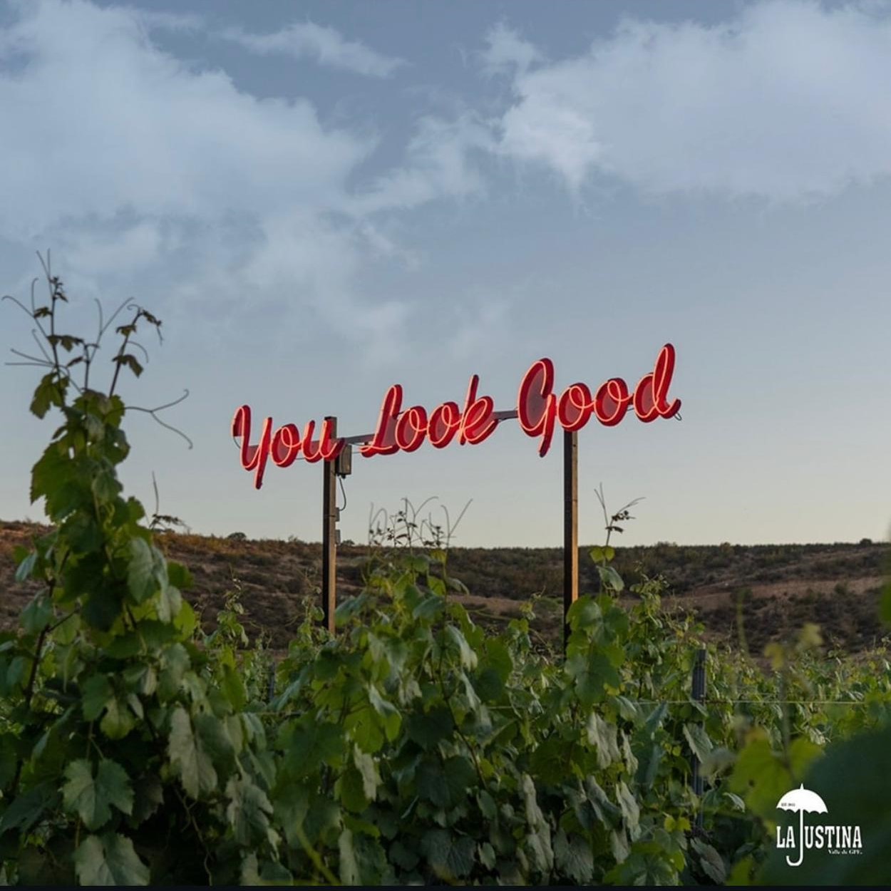 La Justina Valle de Guadalupe  5