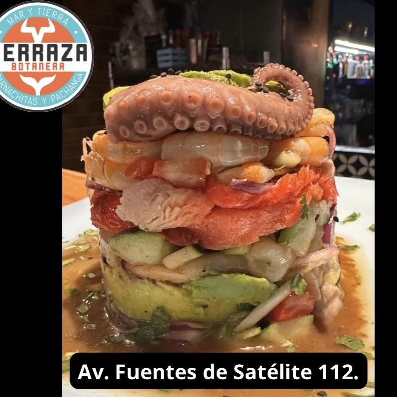 Terraza Botanera Satelite 10