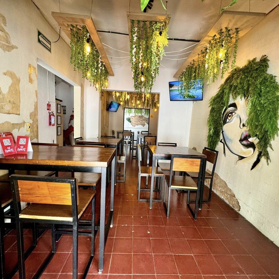Restaurante Pan Francés Guadalajara - foto 1