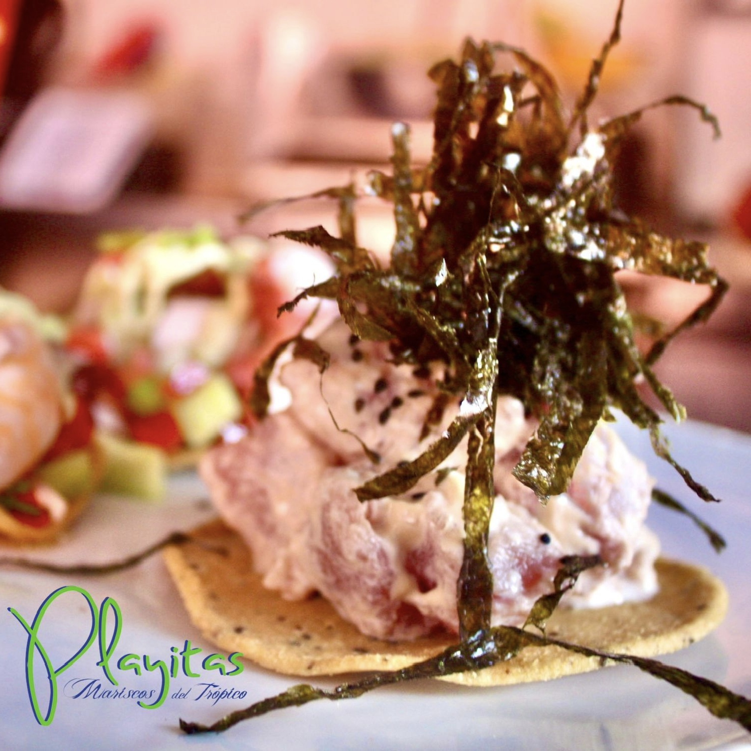 Restaurante Playitas Escandon 10