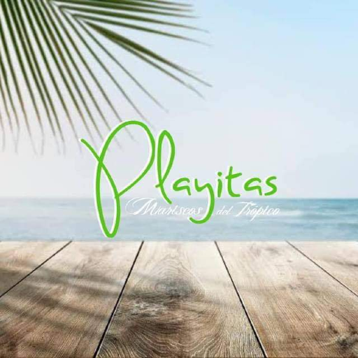 Restaurante Playitas Escandon