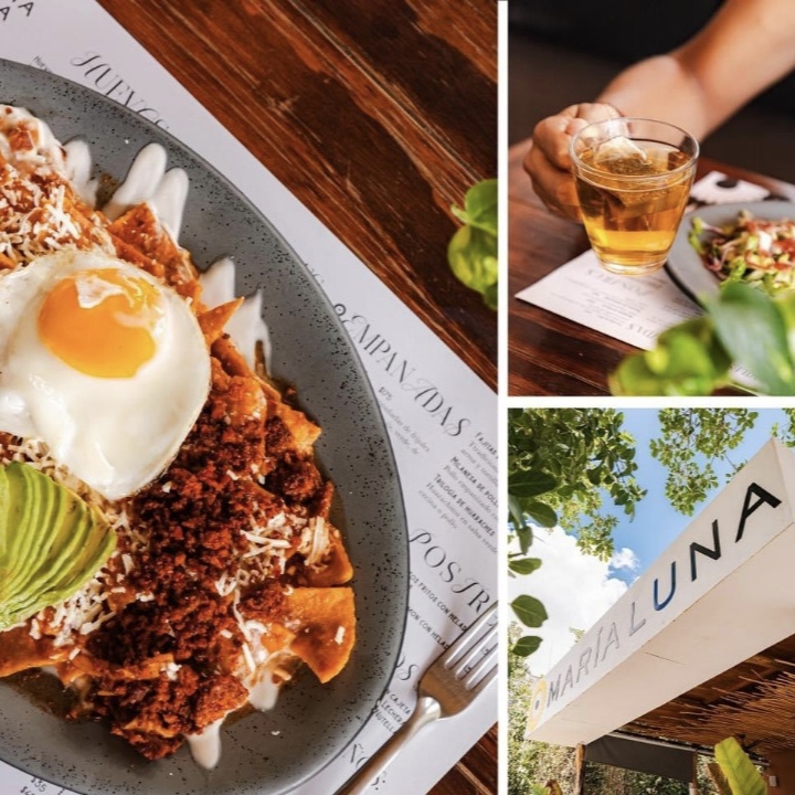 Restaurante Maria Luna Cancún 8