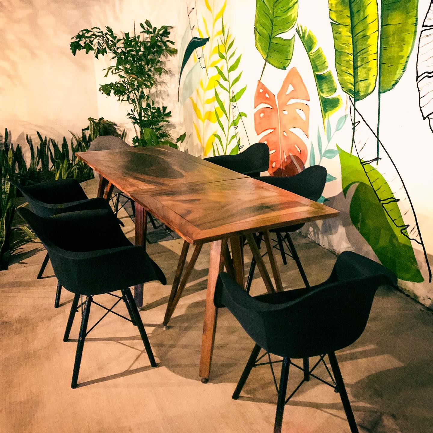 Daruco Oriental Kitchen Colima 13