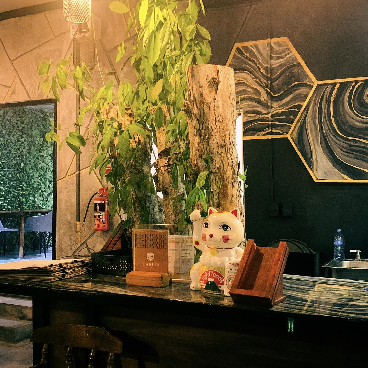 Daruco Oriental Kitchen Colima 17