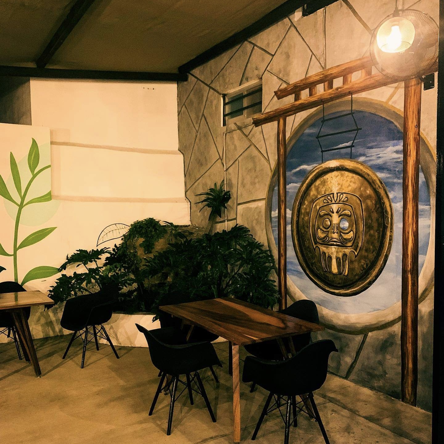 Daruco Oriental Kitchen Colima 26