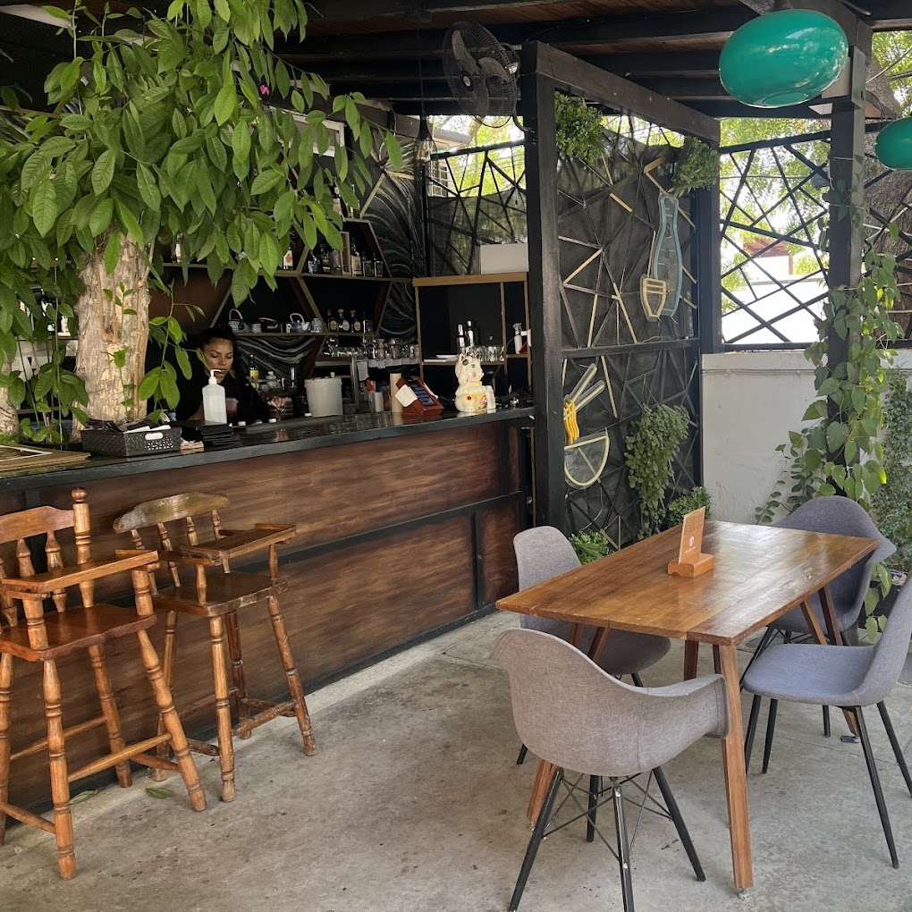 Daruco Oriental Kitchen Colima 15