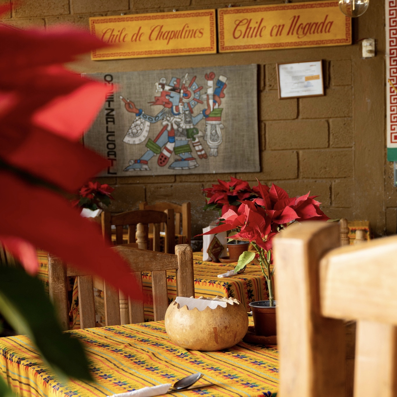 Restaurante El Cuatecomate Tepoztlan 13