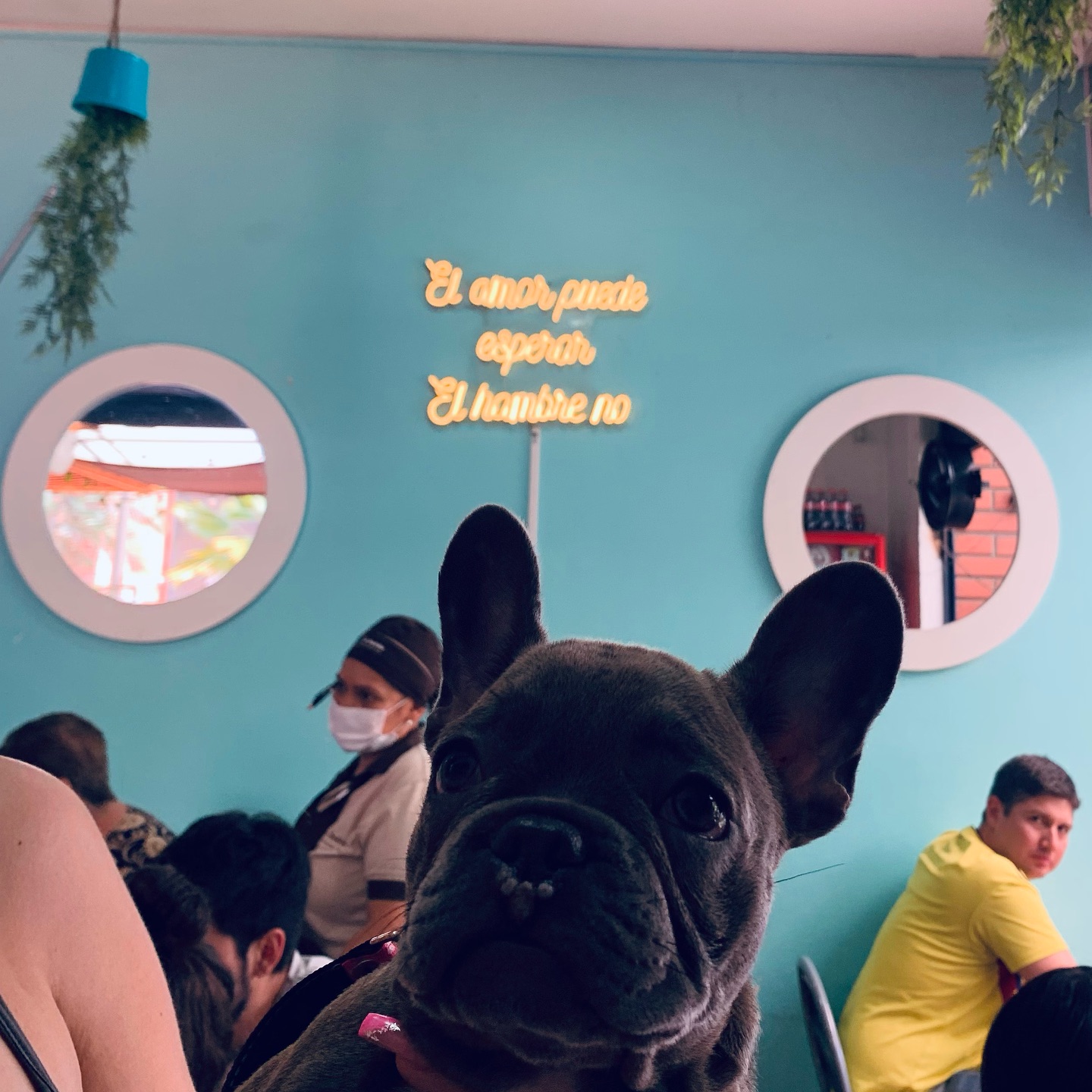 Restaurante La Sombrita Medellín 8