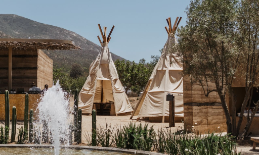 Restaurante Ojá Valle Ensenada