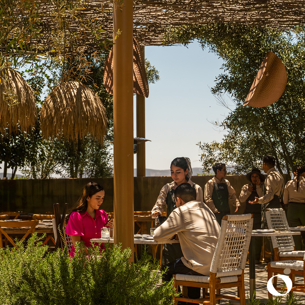 Restaurante Ojá Valle Ensenada 5