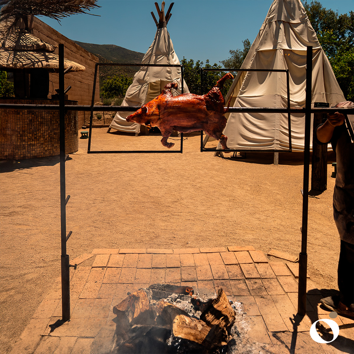 Restaurante Ojá Valle Ensenada 11