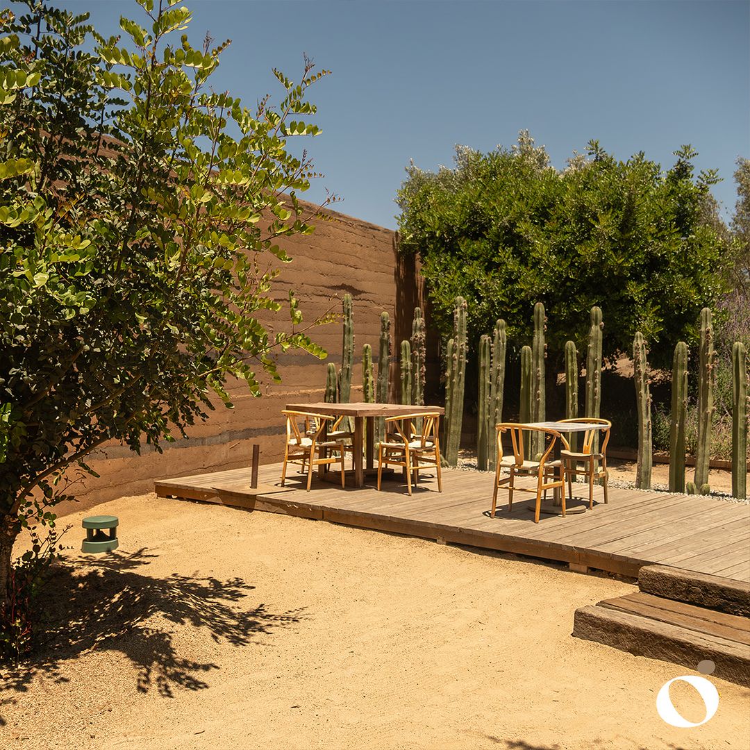 Restaurante Ojá Valle Ensenada 15