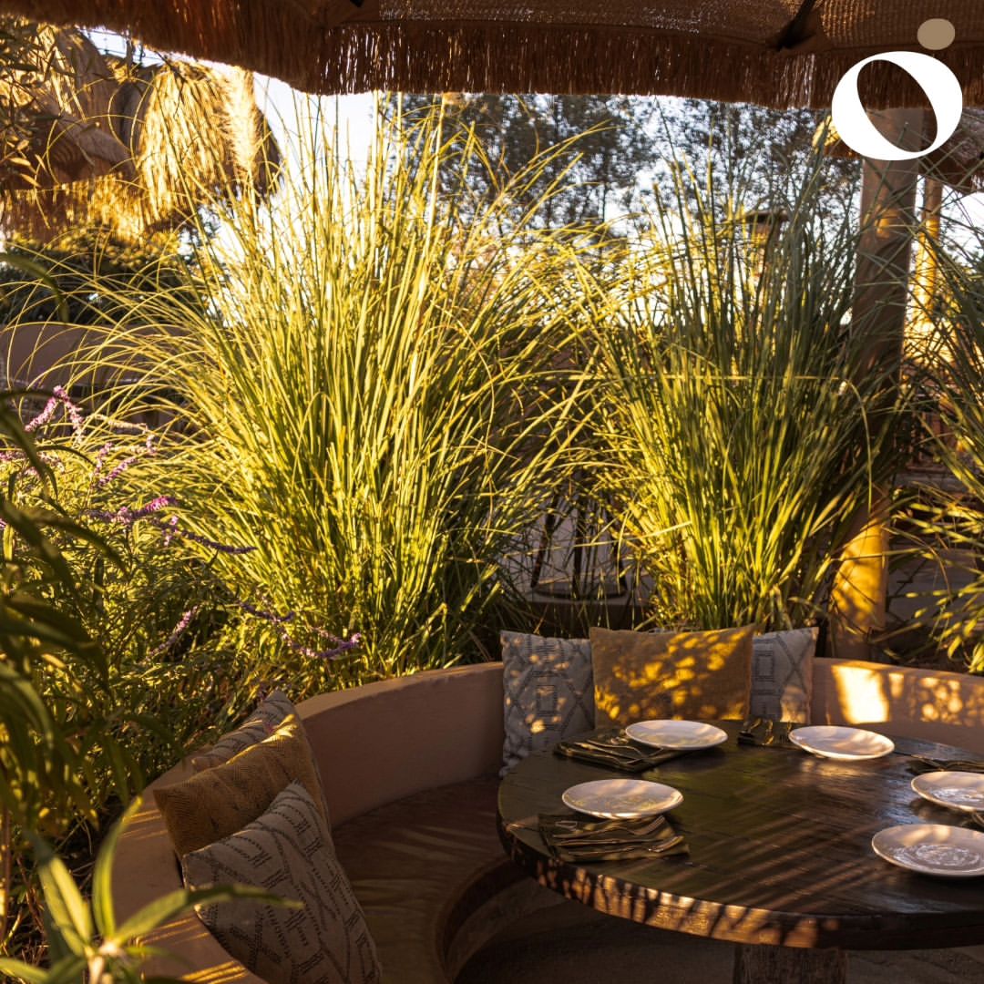 Restaurante Ojá Valle Ensenada 19