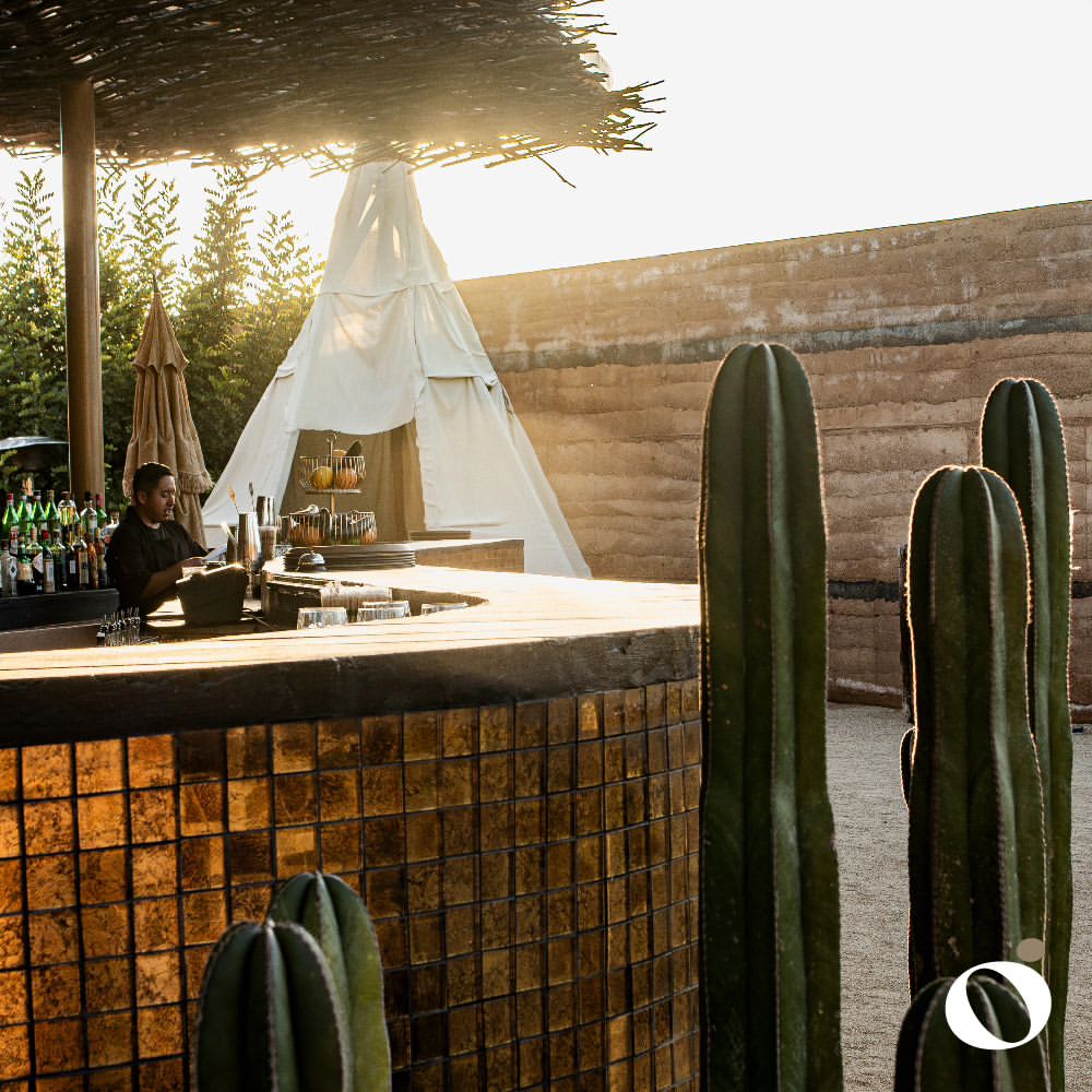 Restaurante Ojá Valle Ensenada 17