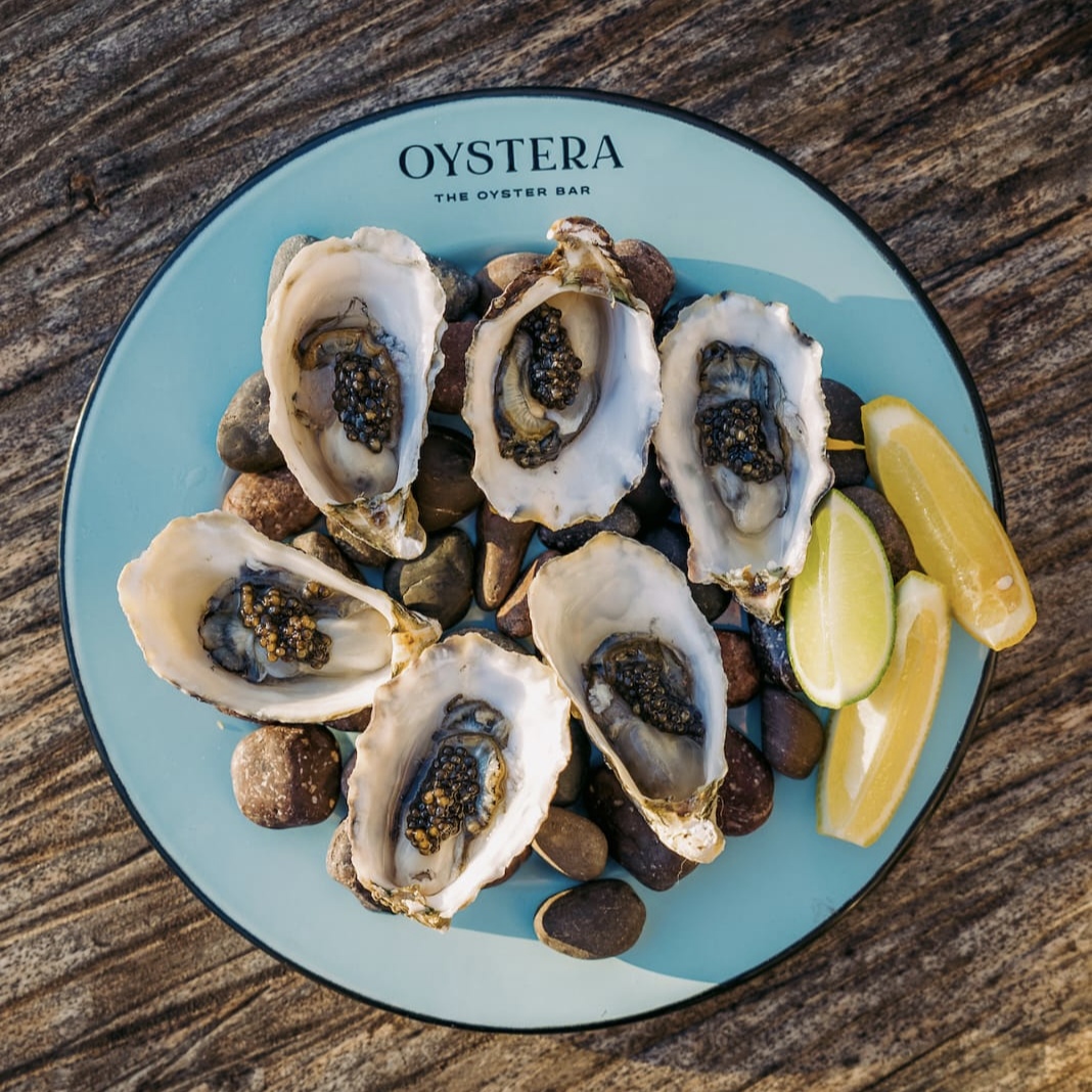 Restaurante Oystera Todos Santos 6