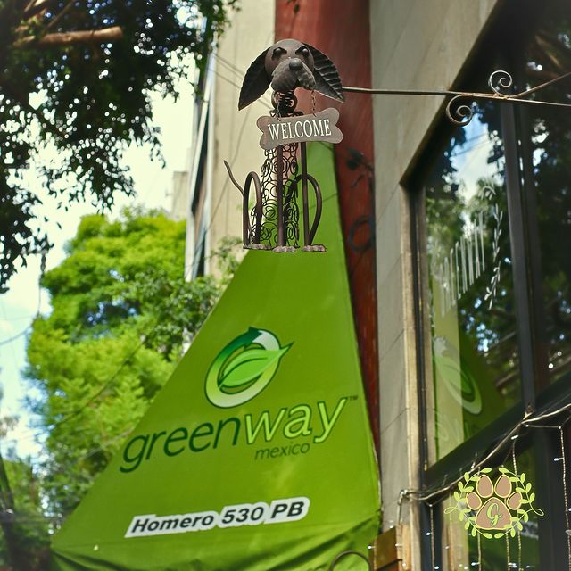 Greenway Restaurante Polanco  12