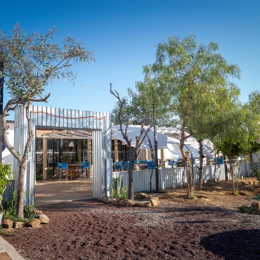 Restaurante Jesusa Valle de Guadalupe 27