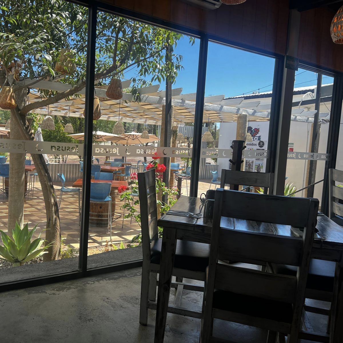 Restaurante Jesusa Valle de Guadalupe 23