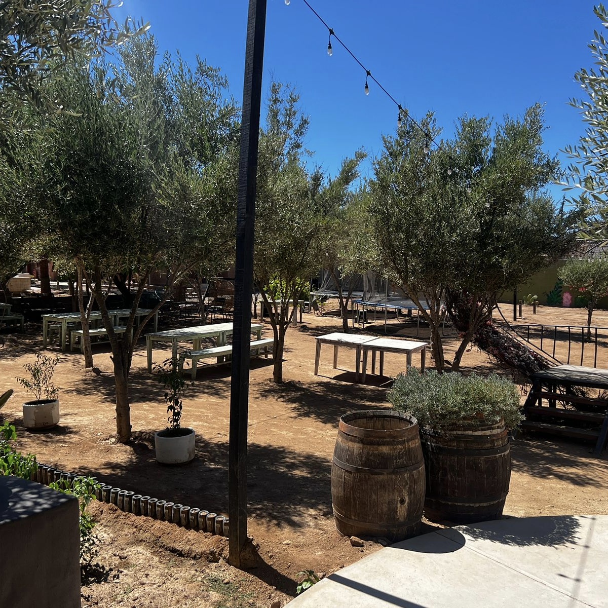 Restaurante Jesusa Valle de Guadalupe 29