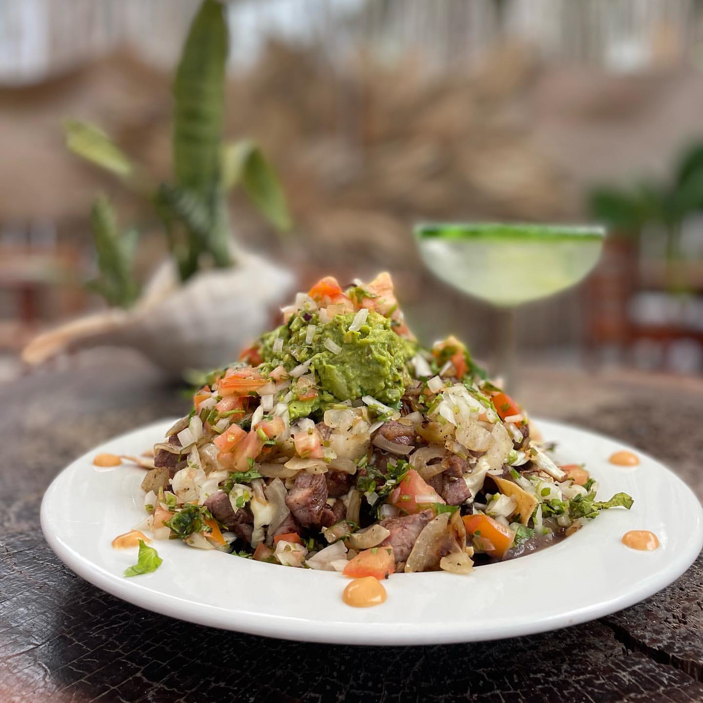 Restaurante Tuch Holbox 14