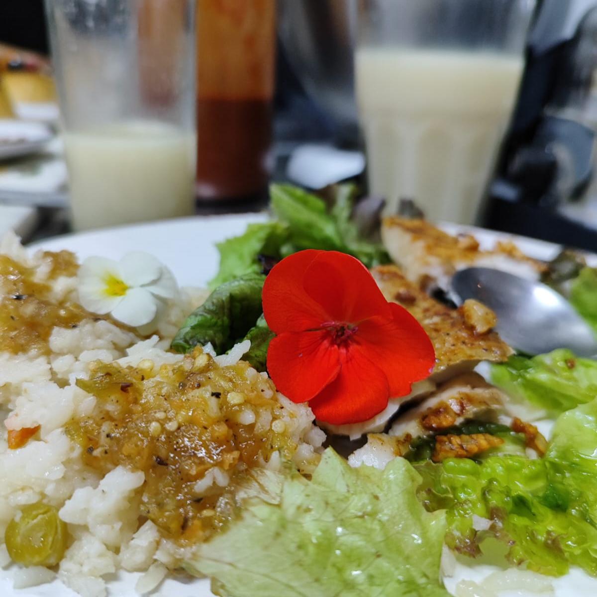 Vaca Santa Asador Querétaro 18