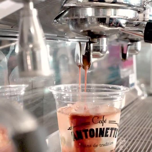 Café Antoinette Huayacan 18