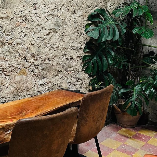 Restaurante Xiim Orizaba 5