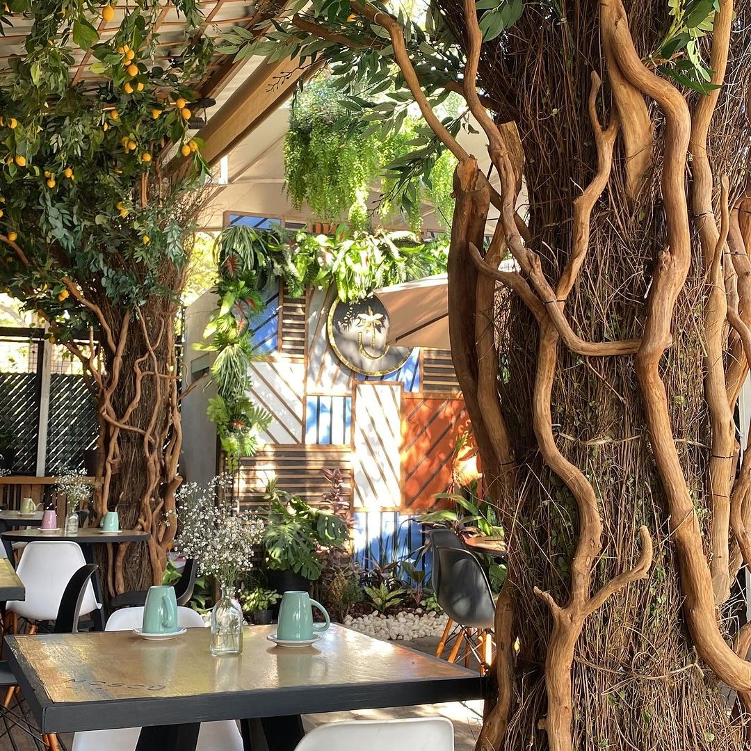 Restaurant Moscú Colima 9