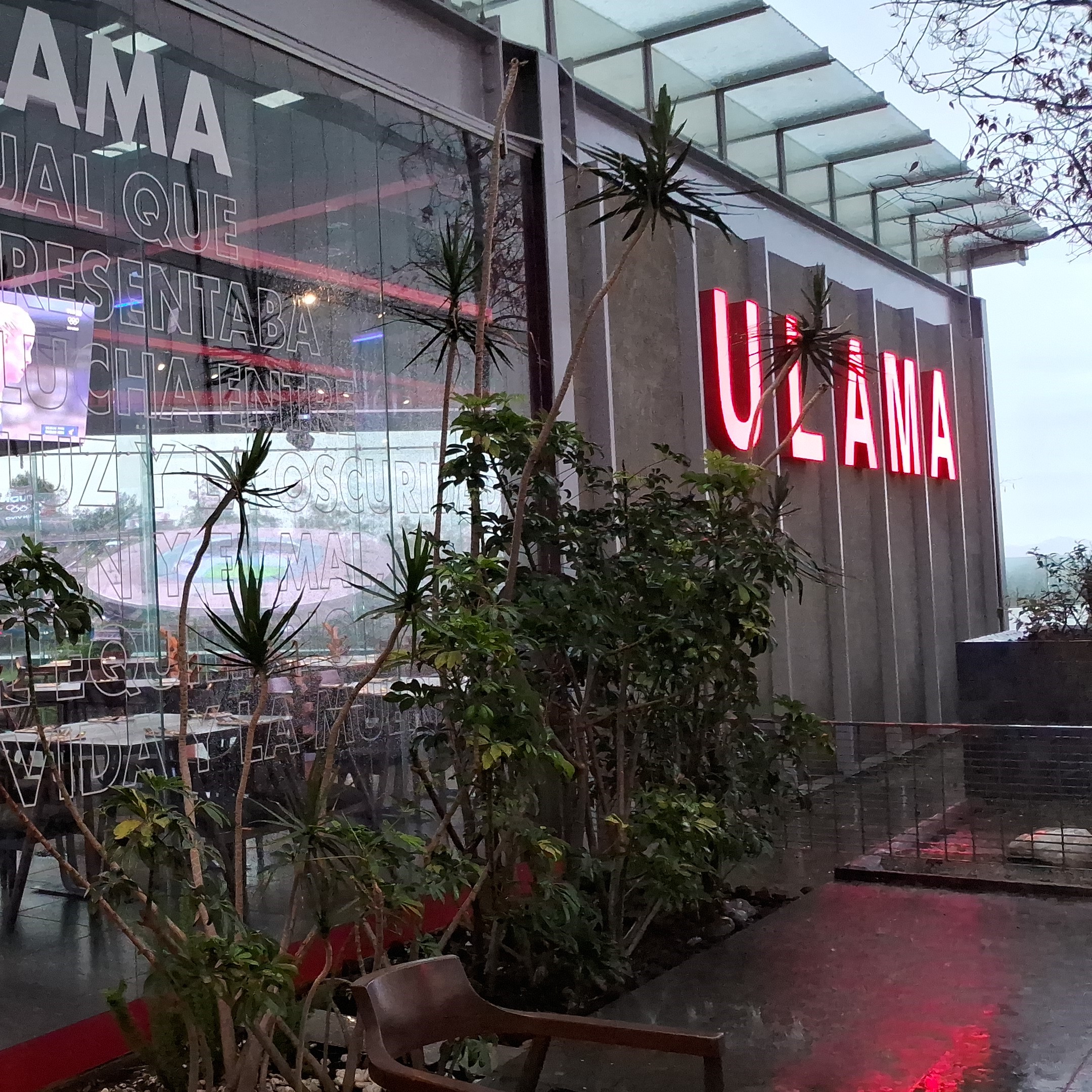 Restaurante ULAMA Santa Fe 10