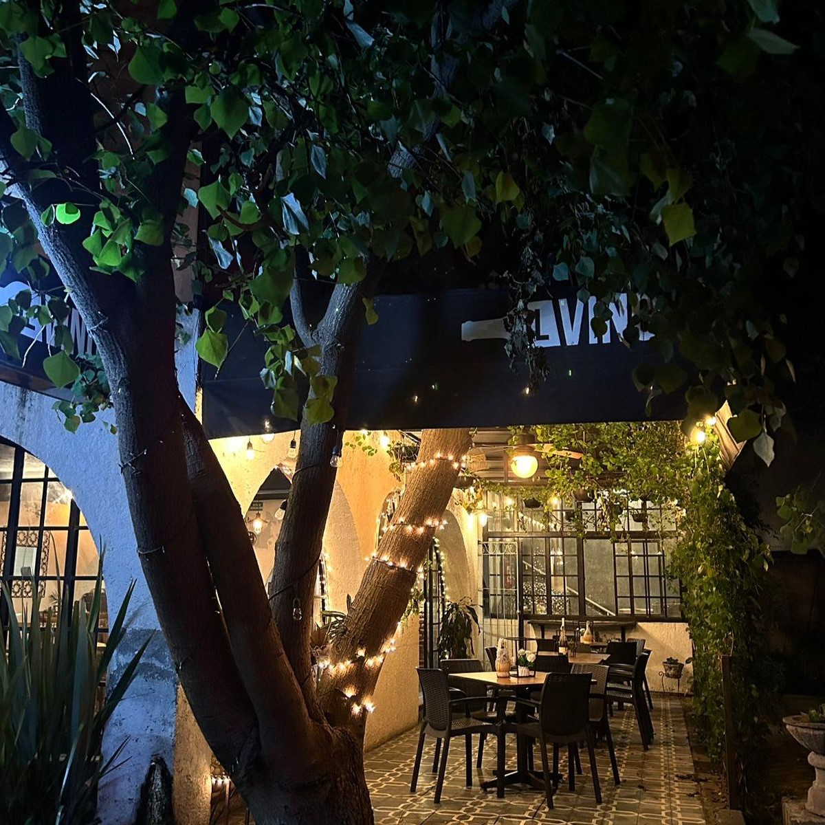 IL VINO Pizza al Forno Puebla 11