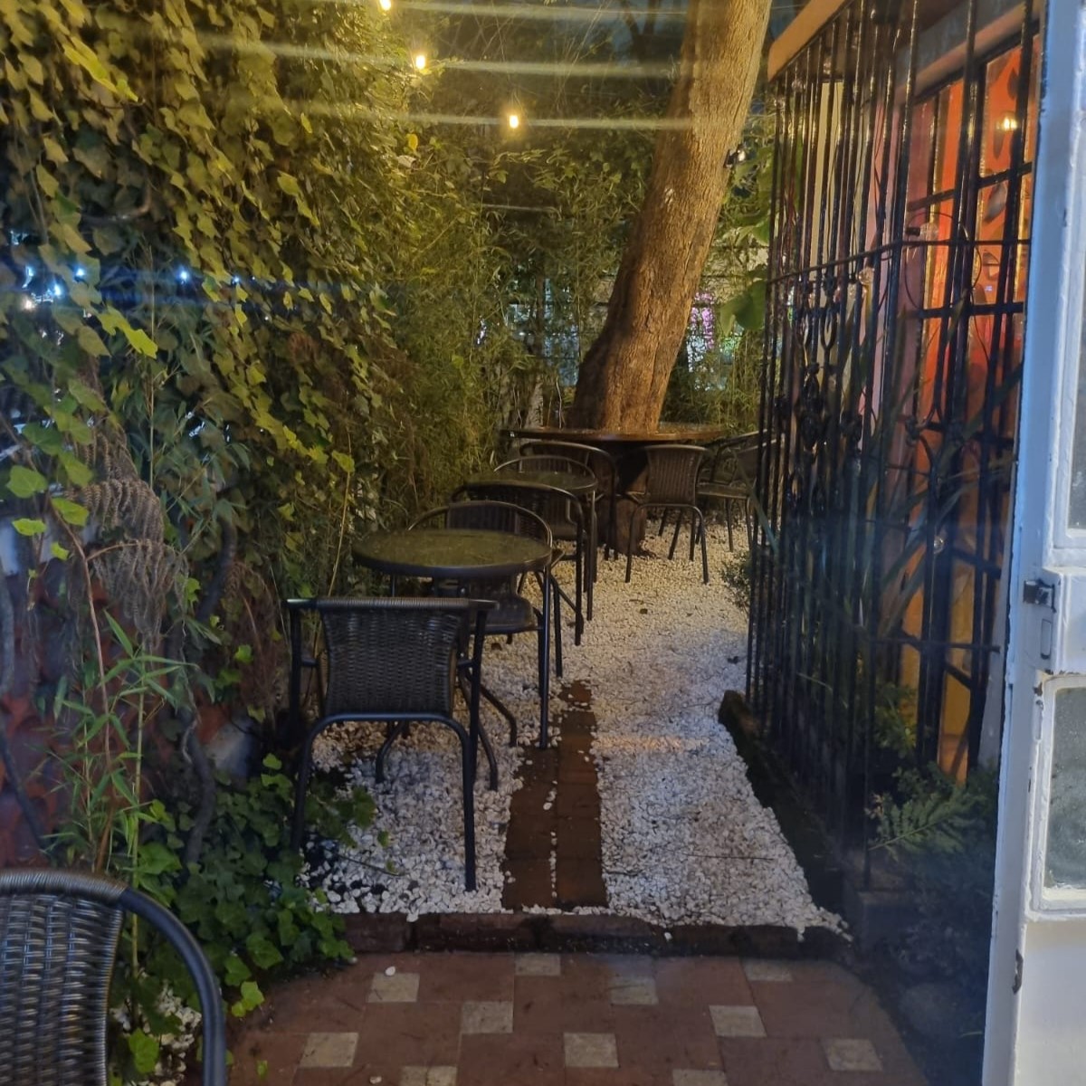 Super 8 Condesa 5