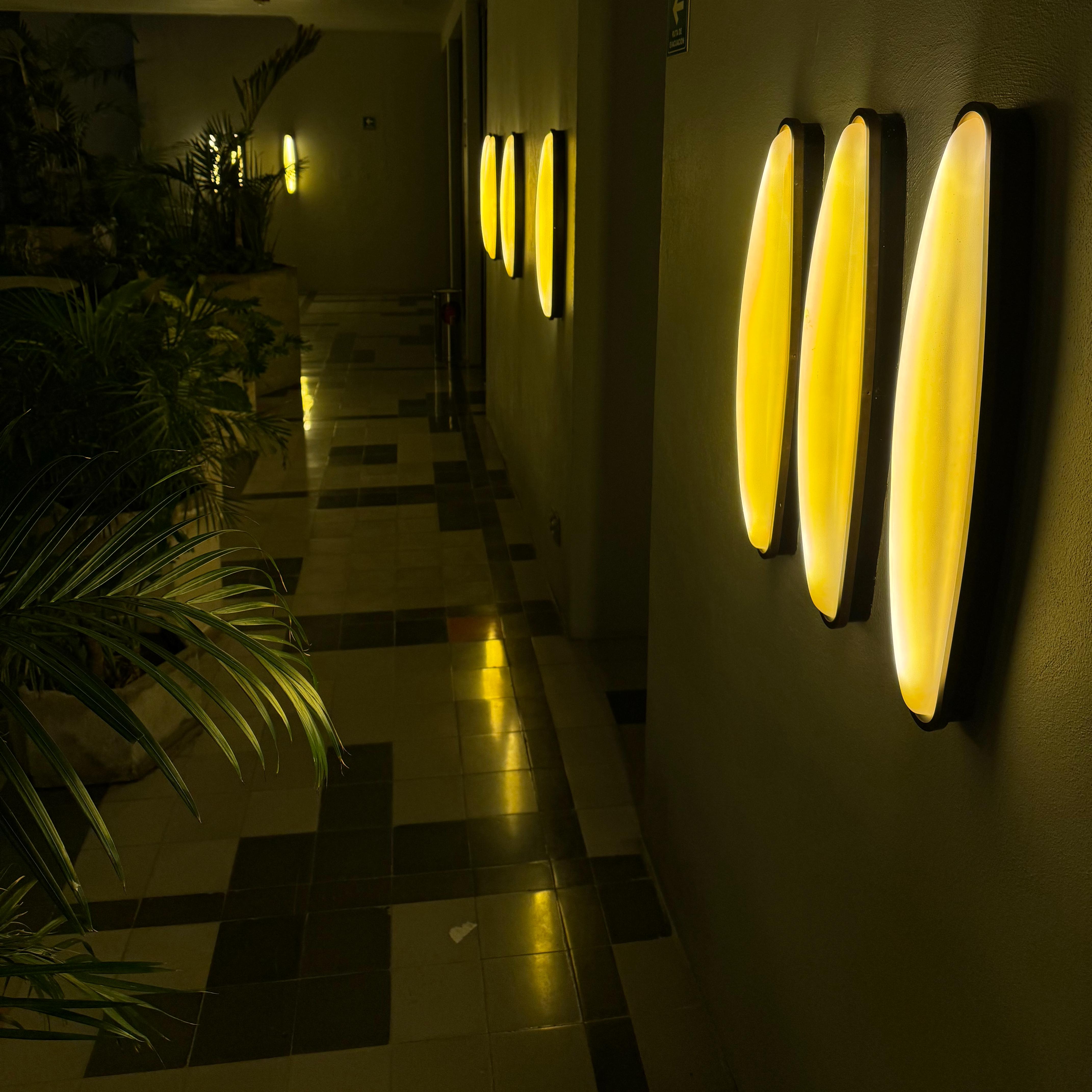 Restaurante Zingaro Guadalajara 13