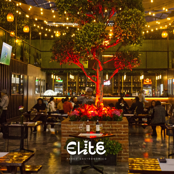 Élite Restaurant Café Bar CDMX - foto 1