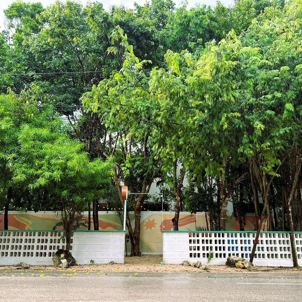 Green Garden Tulum 11