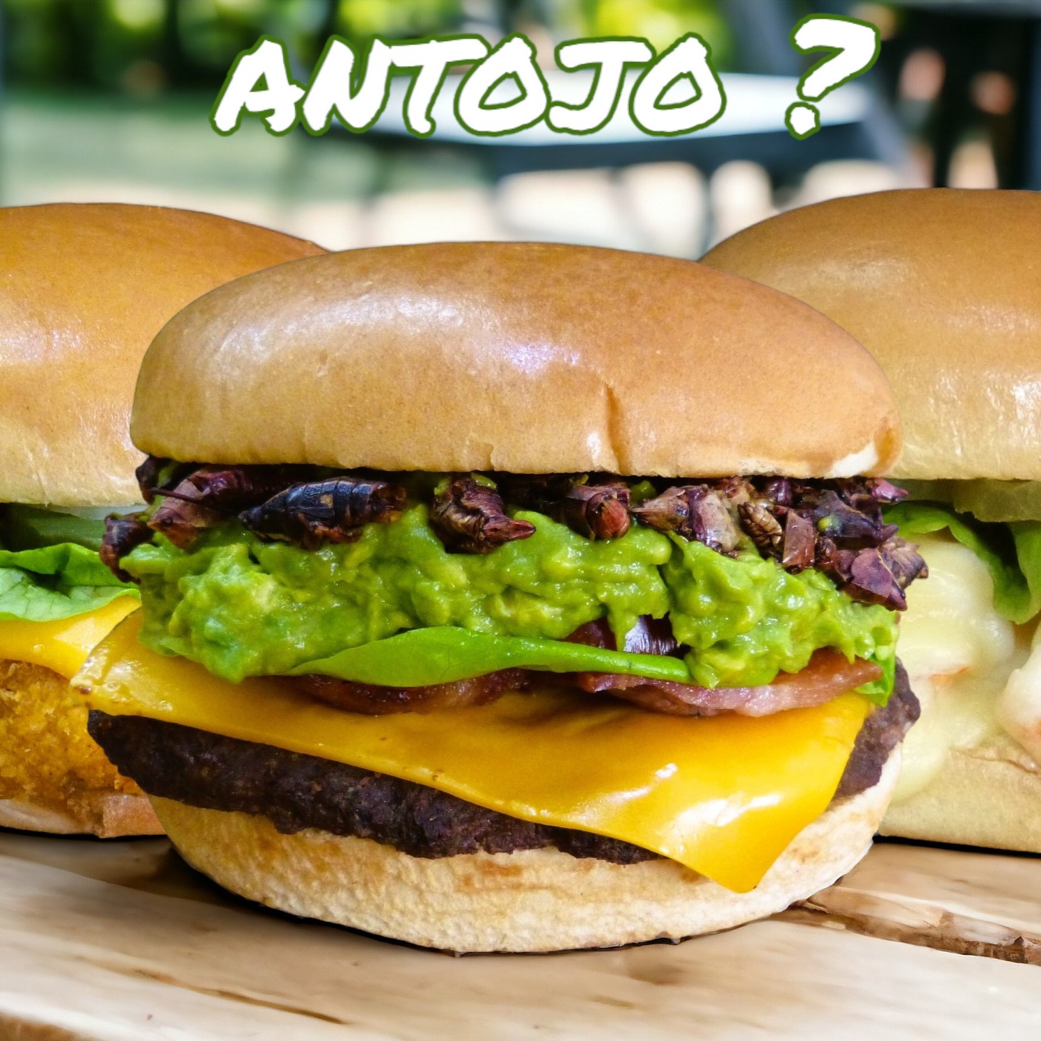 Cinco Grillos Burger's Condesa 5