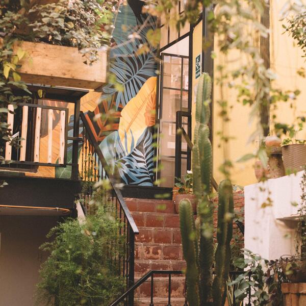 Green Point Vegan Restaurant Cusco 7