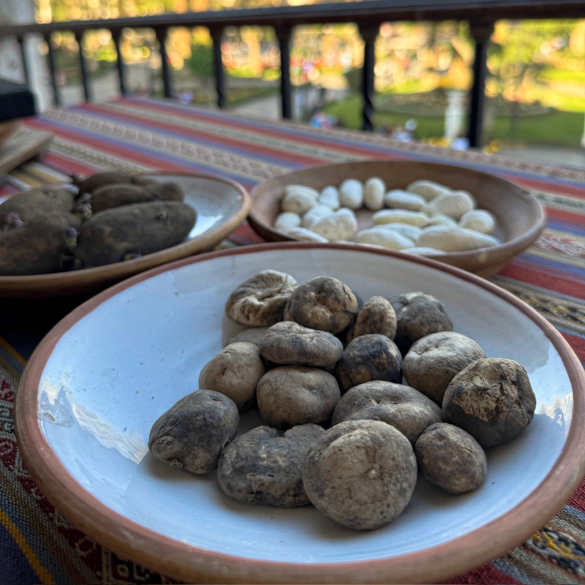 Sonccollay Pre Inka Cuisine Arequipa - foto 3