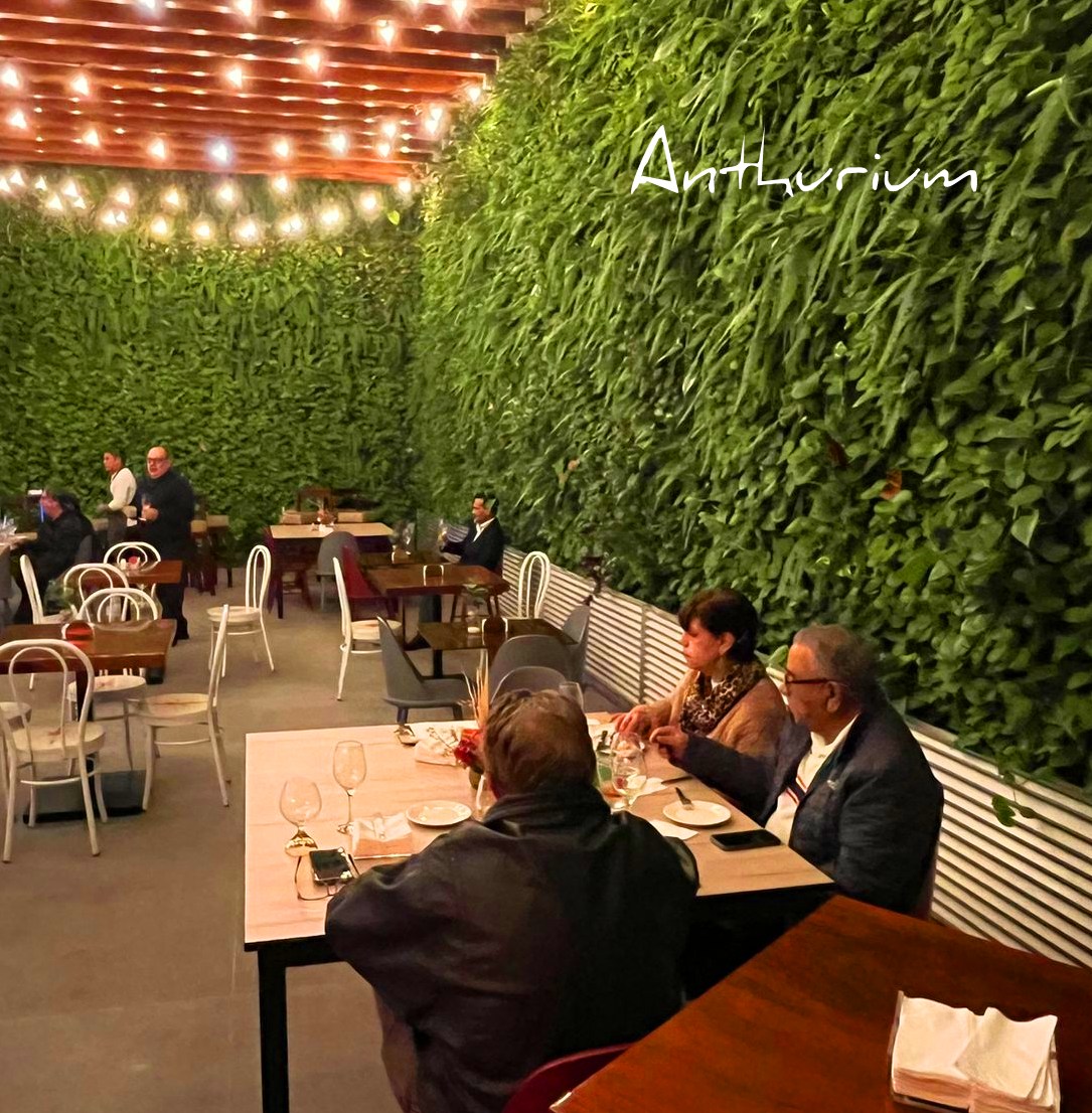 Restaurant Anthurium Lima - foto 1