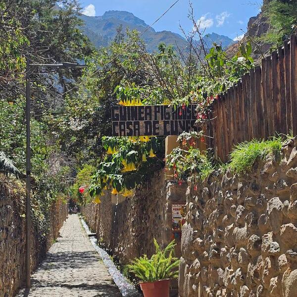 Restaurante Casa de Cuyes Ollantaytambo  6