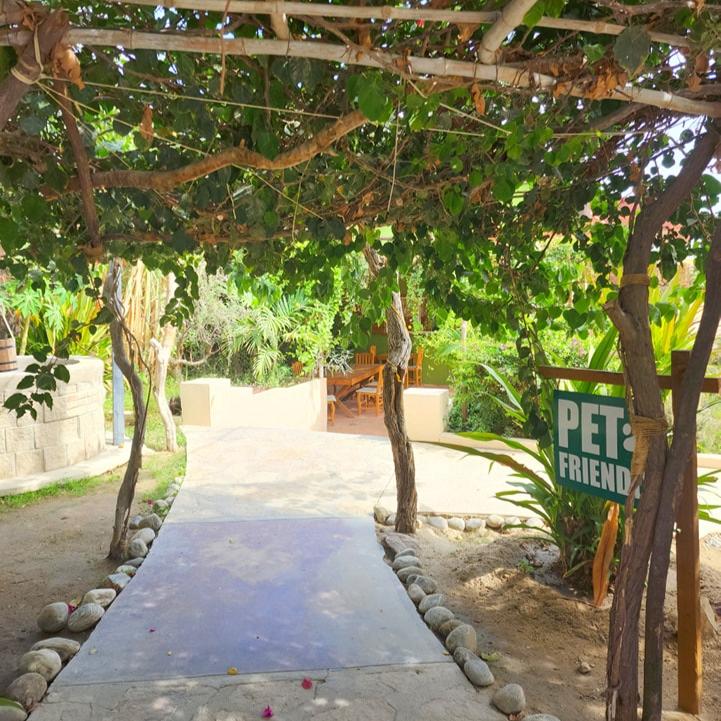 Restaurante Higos y Olivos Los Cabos 7