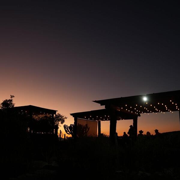 El Mirador Wine & Cocktail Bar El Lobo 7