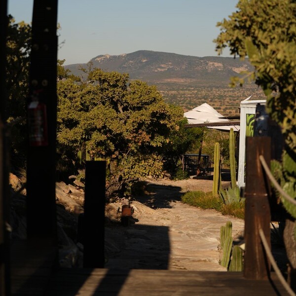 El Mirador Wine & Cocktail Bar El Lobo 9
